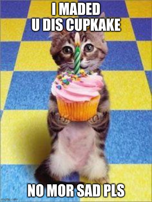Happy Birthday Cat | I MADED U DIS CUPKAKE; NO MOR SAD PLS | image tagged in happy birthday cat | made w/ Imgflip meme maker