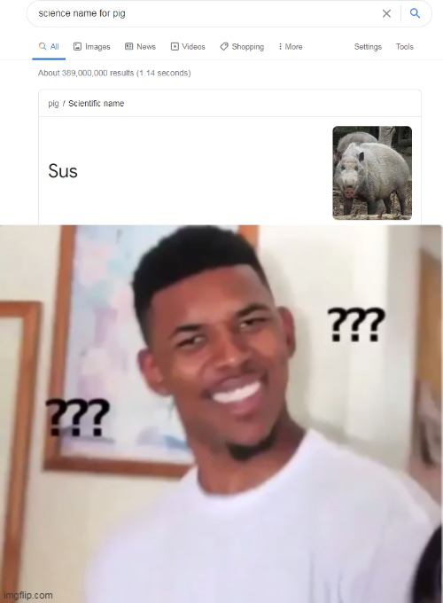 when the pig is sus | image tagged in memes,funny,pig,among us | made w/ Imgflip meme maker