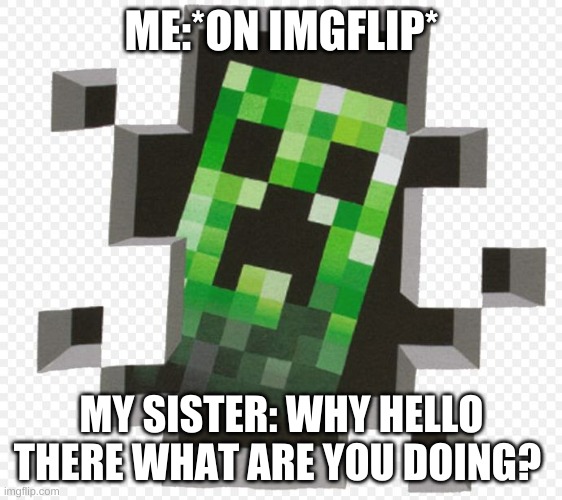 Minecraft Creeper | ME:*ON IMGFLIP*; MY SISTER: WHY HELLO THERE WHAT ARE YOU DOING? | image tagged in minecraft creeper | made w/ Imgflip meme maker