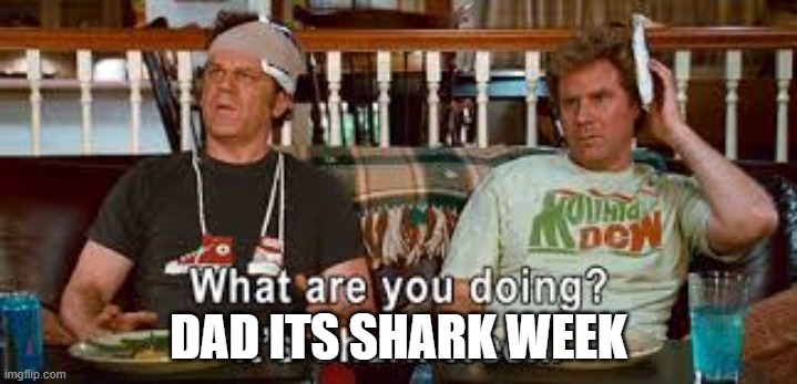 lol | DAD ITS SHARK WEEK | image tagged in funny,memes | made w/ Imgflip meme maker