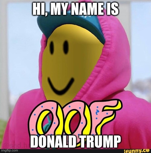 Roblox Oof | HI, MY NAME IS; DONALD TRUMP | image tagged in roblox oof | made w/ Imgflip meme maker