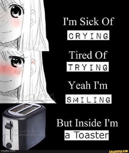 toaster | image tagged in memes | made w/ Imgflip meme maker