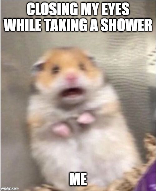 Scared Hamster | CLOSING MY EYES WHILE TAKING A SHOWER; ME | image tagged in scared hamster | made w/ Imgflip meme maker