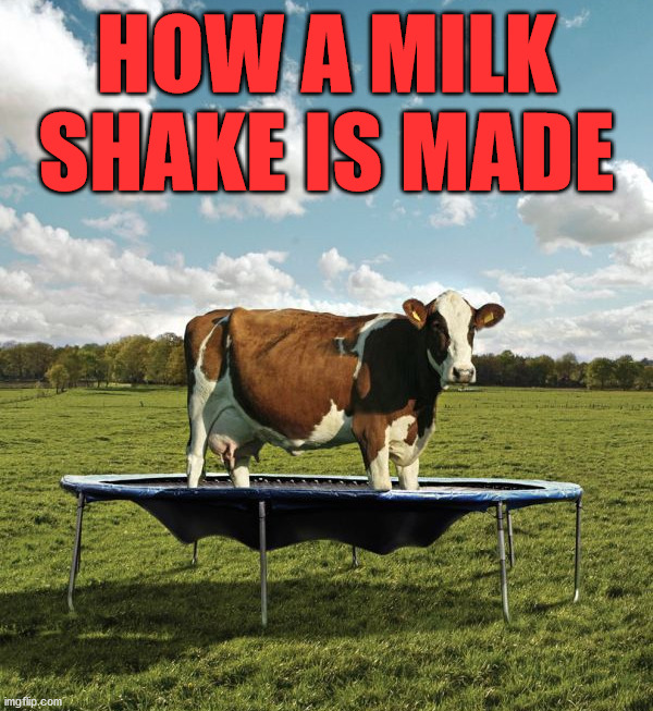 HOW A MILK SHAKE IS MADE | image tagged in eye roll | made w/ Imgflip meme maker