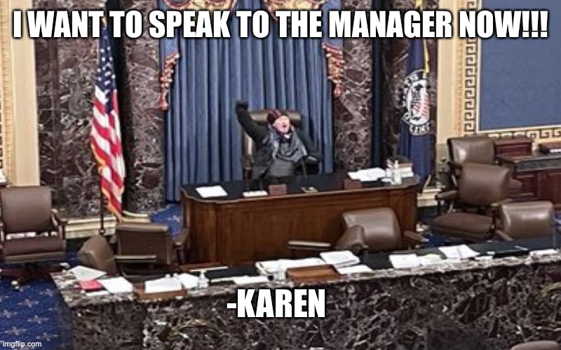 image tagged in karen,senate,trump protestors | made w/ Imgflip meme maker