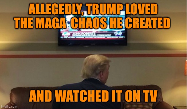 ALLEGEDLY, TRUMP LOVED THE MAGA  CHAOS HE CREATED AND WATCHED IT ON TV | made w/ Imgflip meme maker