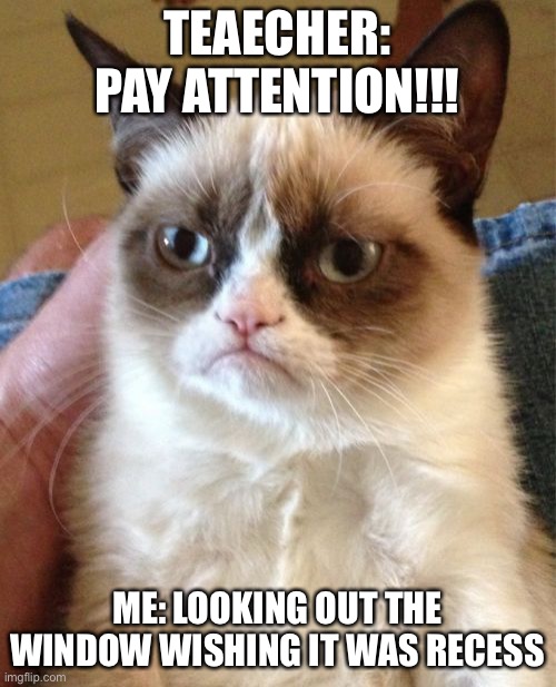 Grumpy Cat Meme | TEAECHER: PAY ATTENTION!!! ME: LOOKING OUT THE WINDOW WISHING IT WAS RECESS | image tagged in memes,grumpy cat | made w/ Imgflip meme maker