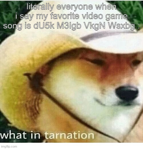 You gotta listen to it before juge the name- | literally everyone when i say my favorite video game song is dU5k M3Igb VkgN Wsxbg : | image tagged in what in tarnation | made w/ Imgflip meme maker