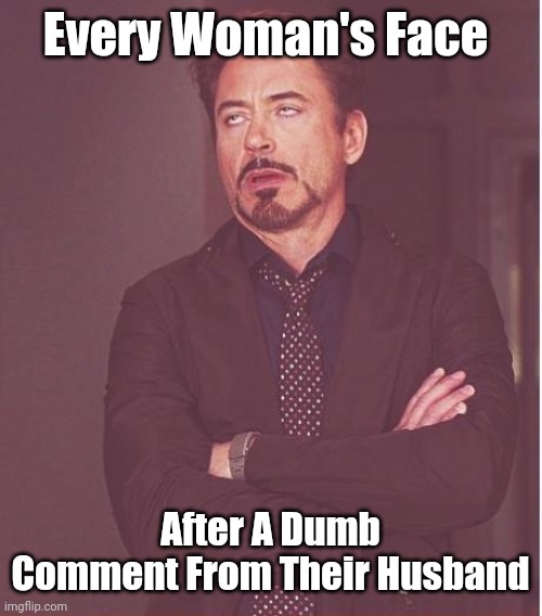 Husband makes dumb comment | Every Woman's Face; After A Dumb Comment From Their Husband | image tagged in memes,face you make robert downey jr | made w/ Imgflip meme maker