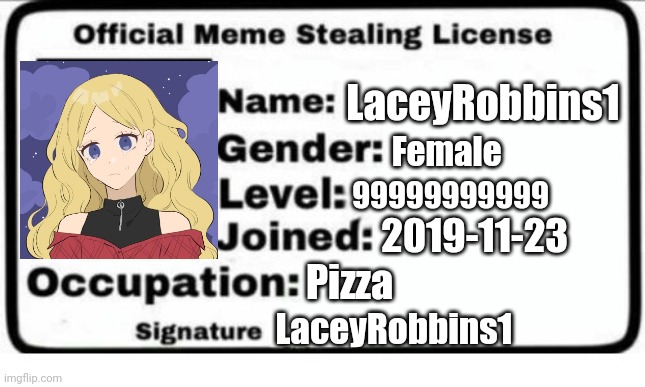 Official Meme Stealing License | LaceyRobbins1; Female; 99999999999; 2019-11-23; Pizza; LaceyRobbins1 | image tagged in official meme stealing license | made w/ Imgflip meme maker