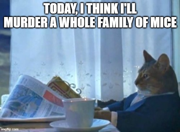 I Should Buy A Boat Cat | TODAY, I THINK I'LL MURDER A WHOLE FAMILY OF MICE | image tagged in memes,i should buy a boat cat | made w/ Imgflip meme maker