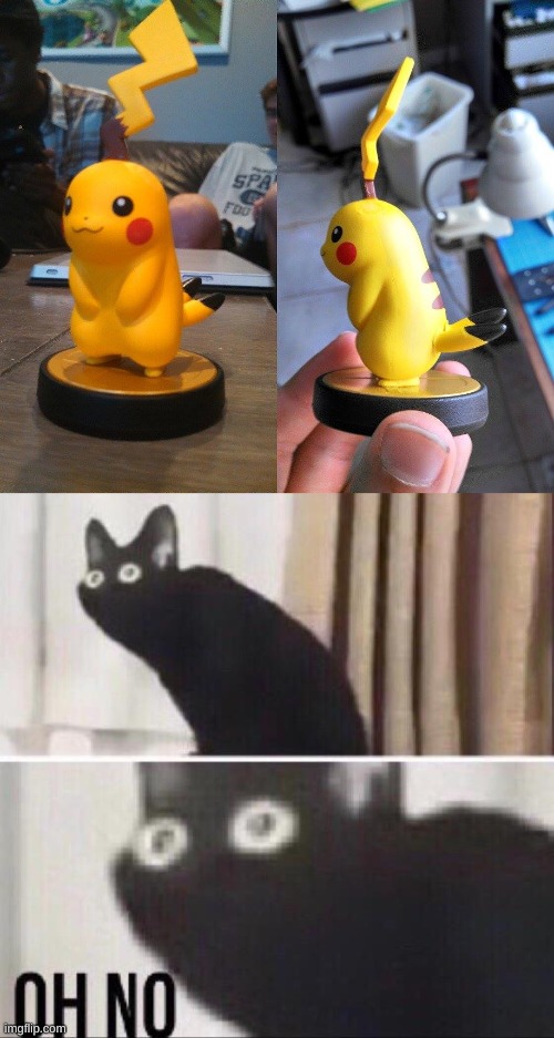 image tagged in oh no cat | made w/ Imgflip meme maker