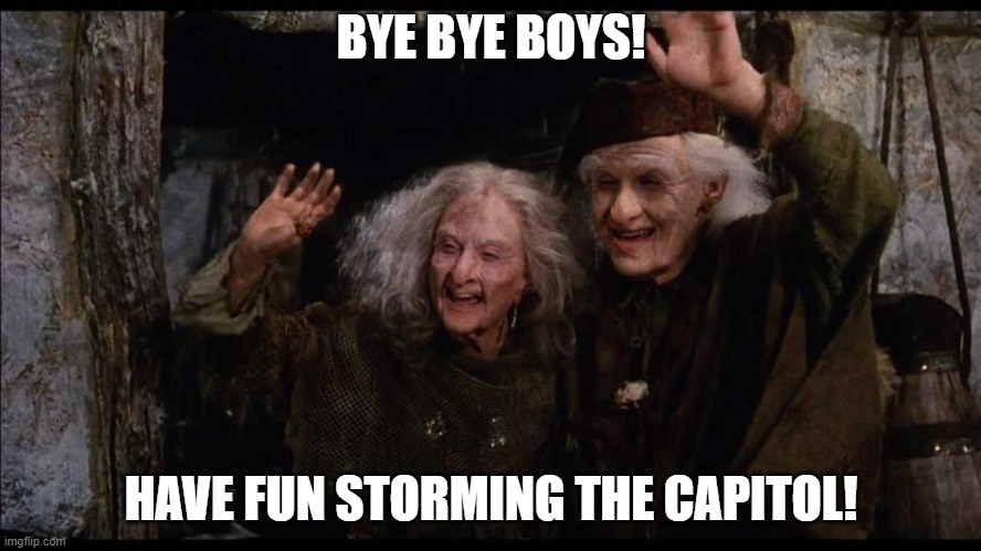 Have Fun Storming the Capitol | BYE BYE BOYS! HAVE FUN STORMING THE CAPITOL! | image tagged in capitol,princess bride,riot,sedetion,trump | made w/ Imgflip meme maker