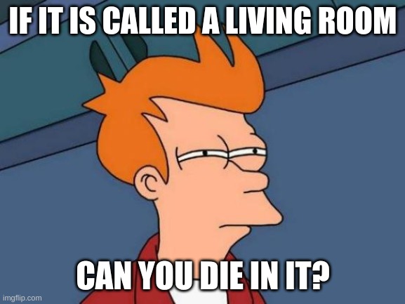 Woah | IF IT IS CALLED A LIVING ROOM; CAN YOU DIE IN IT? | image tagged in memes,futurama fry | made w/ Imgflip meme maker