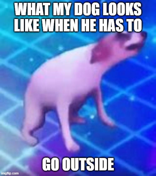 Dance till your dead | WHAT MY DOG LOOKS LIKE WHEN HE HAS TO; GO OUTSIDE | image tagged in dance till your dead | made w/ Imgflip meme maker