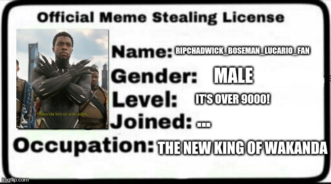 Meme Stealing License | RIPCHADWICK_BOSEMAN_LUCARIO_FAN; MALE; IT'S OVER 9000! ... THE NEW KING OF WAKANDA | image tagged in meme stealing license | made w/ Imgflip meme maker