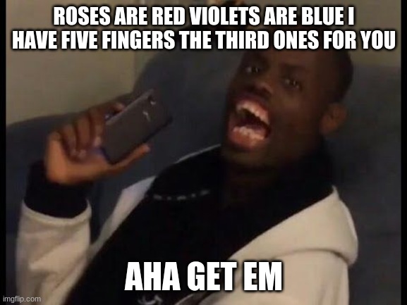 HA! Got him! | ROSES ARE RED VIOLETS ARE BLUE I HAVE FIVE FINGERS THE THIRD ONES FOR YOU; AHA GET EM | image tagged in ha got him | made w/ Imgflip meme maker