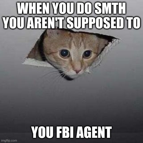 spy time | WHEN YOU DO SMTH YOU AREN'T SUPPOSED TO; YOU FBI AGENT | image tagged in memes,ceiling cat | made w/ Imgflip meme maker