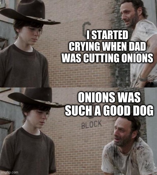 Rick and Carl Meme | I STARTED CRYING WHEN DAD WAS CUTTING ONIONS; ONIONS WAS SUCH A GOOD DOG | image tagged in memes,rick and carl | made w/ Imgflip meme maker