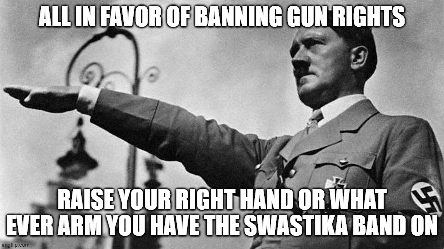 hittler | ALL IN FAVOR OF BANNING GUN RIGHTS; RAISE YOUR RIGHT HAND OR WHAT EVER ARM YOU HAVE THE SWASTIKA BAND ON | image tagged in hittler | made w/ Imgflip meme maker