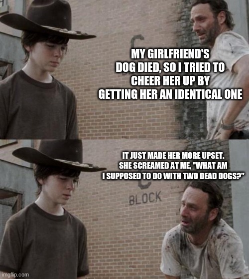 Rick and Carl Meme | MY GIRLFRIEND'S DOG DIED, SO I TRIED TO CHEER HER UP BY GETTING HER AN IDENTICAL ONE; IT JUST MADE HER MORE UPSET. SHE SCREAMED AT ME, "WHAT AM I SUPPOSED TO DO WITH TWO DEAD DOGS?" | image tagged in memes,rick and carl | made w/ Imgflip meme maker