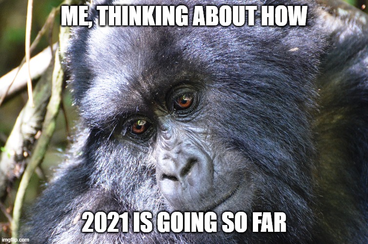 Thinking about 2021 so far | ME, THINKING ABOUT HOW; 2021 IS GOING SO FAR | image tagged in positive thinking | made w/ Imgflip meme maker