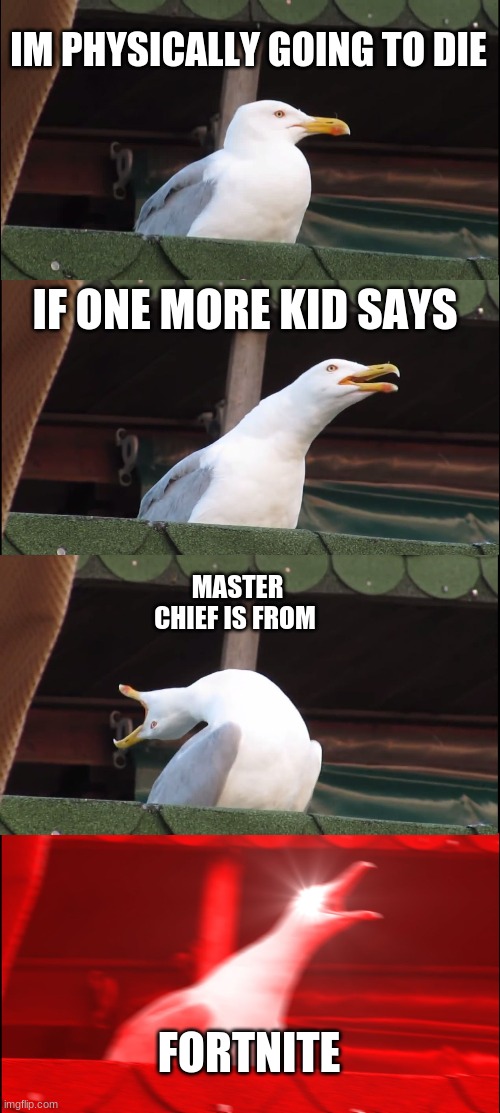 Inhaling Seagull | IM PHYSICALLY GOING TO DIE; IF ONE MORE KID SAYS; MASTER CHIEF IS FROM; FORTNITE | image tagged in memes,funny,gaming | made w/ Imgflip meme maker
