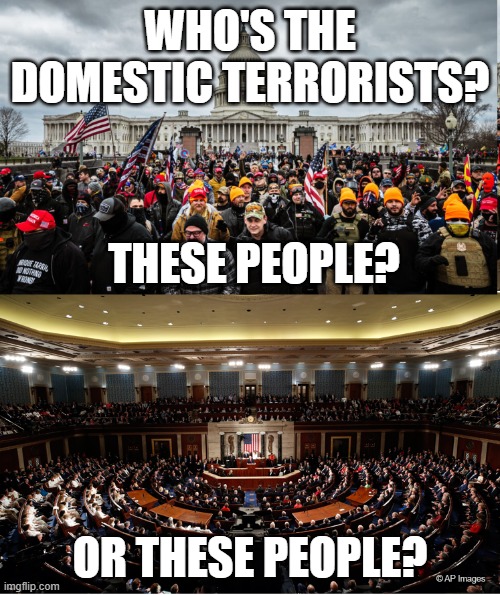 Spineless MSM pushing spin to cover up for their masters | WHO'S THE DOMESTIC TERRORISTS? THESE PEOPLE? OR THESE PEOPLE? | image tagged in corrupt congress,congress are the domestic terrorists,2021,2020 fraudulent election,people's party | made w/ Imgflip meme maker