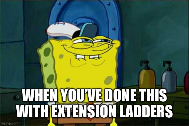 Don't You Squidward Meme | WHEN YOU’VE DONE THIS WITH EXTENSION LADDERS | image tagged in memes,don't you squidward | made w/ Imgflip meme maker