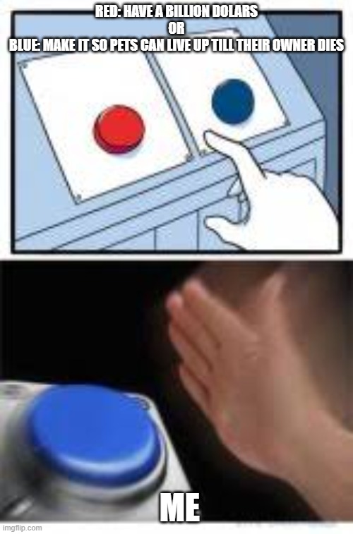 Red or Blue?! | RED: HAVE A BILLION DOLARS
OR
BLUE: MAKE IT SO PETS CAN LIVE UP TILL THEIR OWNER DIES; ME | image tagged in red and blue buttons | made w/ Imgflip meme maker