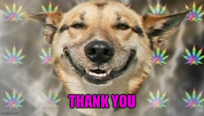 THANK YOU | made w/ Imgflip meme maker