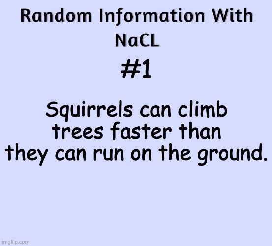 Random Information With NaCL | #1; Squirrels can climb trees faster than they can run on the ground. | image tagged in random information with nacl | made w/ Imgflip meme maker