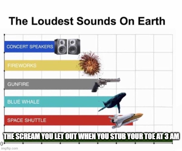 Loudest things | THE SCREAM YOU LET OUT WHEN YOU STUB YOUR TOE AT 3 AM | image tagged in loudest things,memes | made w/ Imgflip meme maker