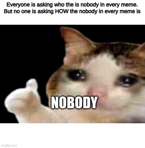 i feel [Nobody]'s pain | Everyone is asking who the is nobody in every meme.
But no one is asking HOW the nobody in every meme is; NOBODY | image tagged in sad cat thumbs up | made w/ Imgflip meme maker