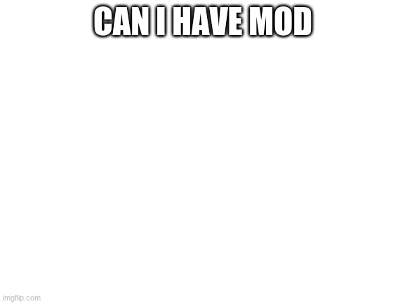 Blank White Template | CAN I HAVE MOD | image tagged in blank white template | made w/ Imgflip meme maker