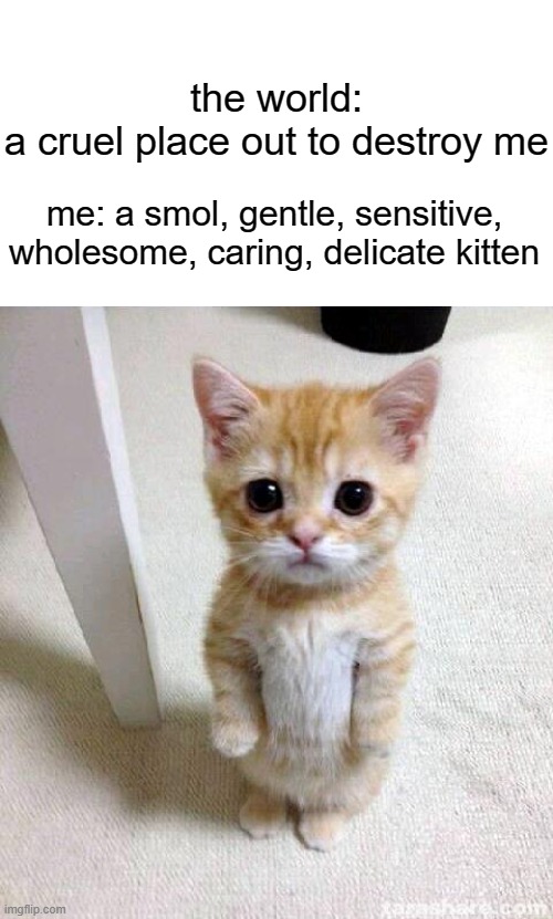 im in danger :D | the world: a cruel place out to destroy me; me: a smol, gentle, sensitive, wholesome, caring, delicate kitten | image tagged in memes,cute cat | made w/ Imgflip meme maker