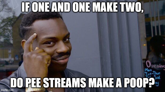 random stuff that pops up in my head during the day | IF ONE AND ONE MAKE TWO, DO PEE STREAMS MAKE A POOP? | image tagged in memes,roll safe think about it,fun,funny memes,i'm sorry | made w/ Imgflip meme maker