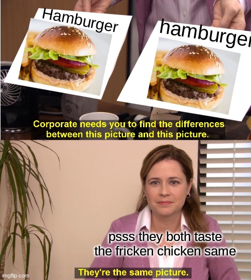 They're The Same Picture Meme | Hamburger; hamburger; psss they both taste the fricken chicken same | image tagged in memes,they're the same picture | made w/ Imgflip meme maker