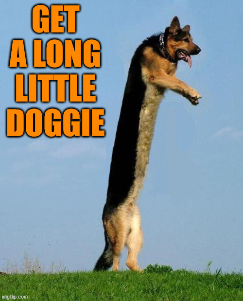 GET A LONG LITTLE DOGGIE | image tagged in eye roll | made w/ Imgflip meme maker