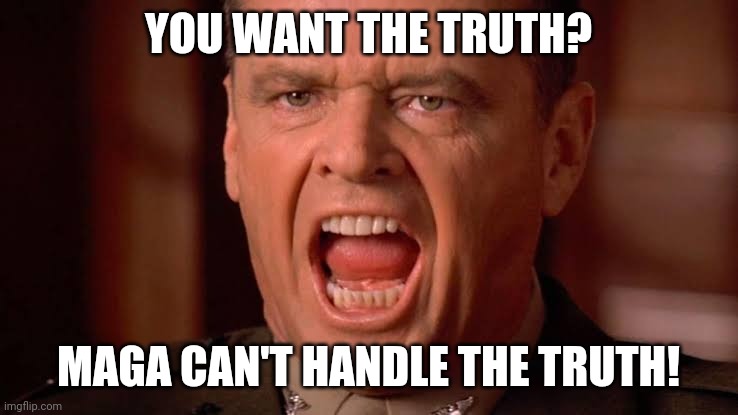 Trumpism is a mental disorder | YOU WANT THE TRUTH? MAGA CAN'T HANDLE THE TRUTH! | image tagged in you want the truth | made w/ Imgflip meme maker