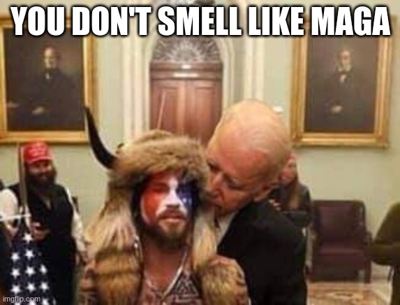 YOU DON'T SMELL LIKE MAGA | image tagged in funny | made w/ Imgflip meme maker