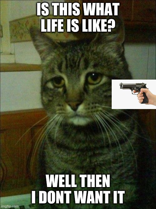 Depressed Cat | IS THIS WHAT LIFE IS LIKE? WELL THEN I DONT WANT IT | image tagged in memes,depressed cat | made w/ Imgflip meme maker