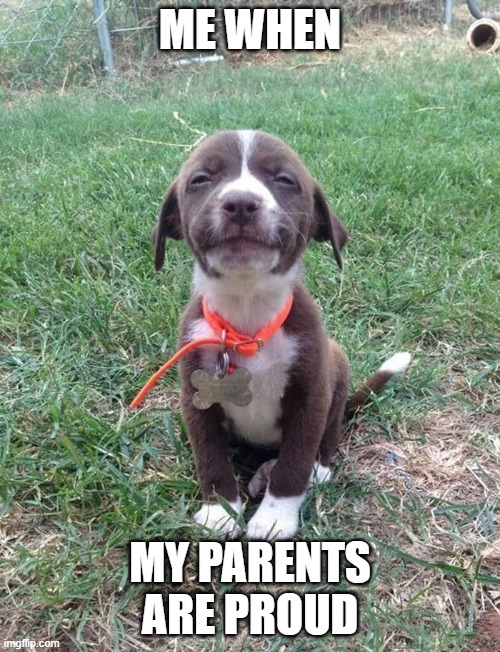 Good boy |  ME WHEN; MY PARENTS ARE PROUD | image tagged in good boy,best boy,cute,smile | made w/ Imgflip meme maker