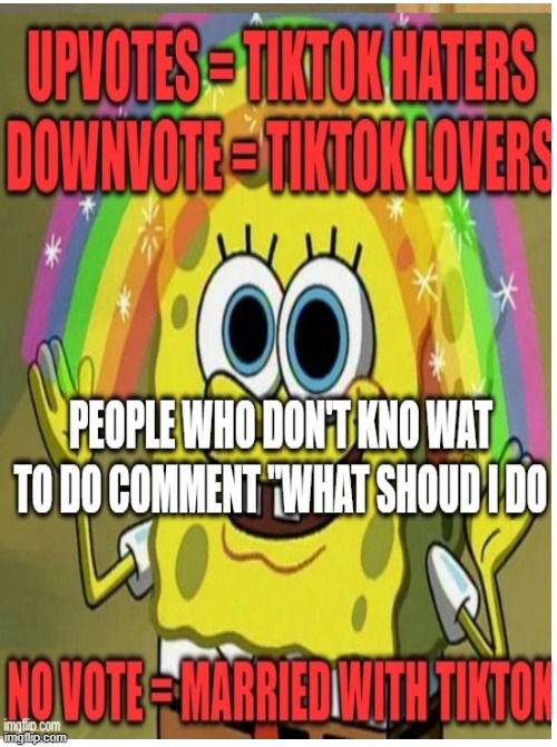 Repost of mine but edited for a comment that said he doesn't love tiktok nor hate it and absolutely not married | image tagged in edited | made w/ Imgflip meme maker