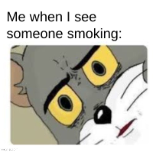smoking meme | image tagged in cat memes | made w/ Imgflip meme maker