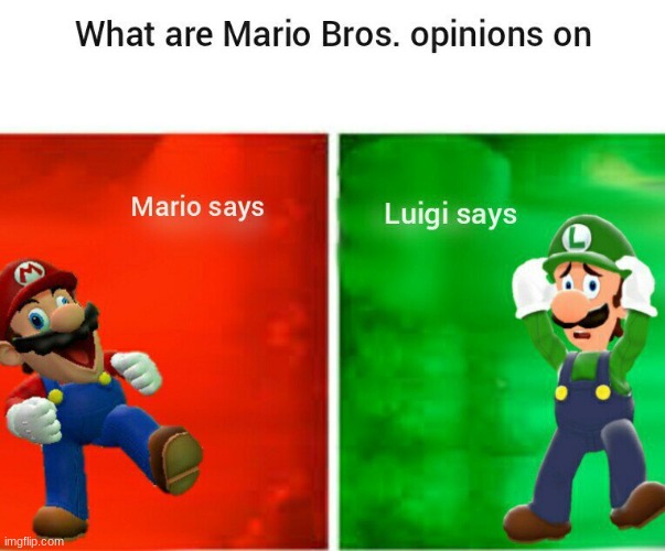 here is a better mario says and luigi says | image tagged in smg4 mario says luigi says | made w/ Imgflip meme maker