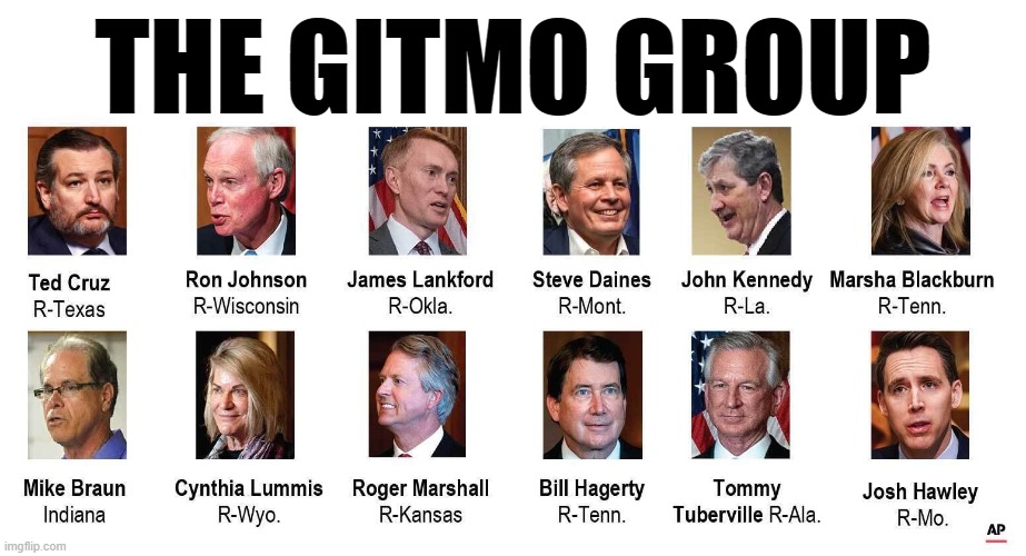 AMERICAN TERRORISTS | THE GITMO GROUP | image tagged in treason,terrorist,traitor,cruz,hawley,gitmo | made w/ Imgflip meme maker