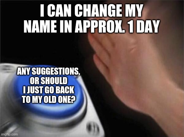 Blank Nut Button Meme | I CAN CHANGE MY NAME IN APPROX. 1 DAY; ANY SUGGESTIONS, OR SHOULD I JUST GO BACK TO MY OLD ONE? | image tagged in memes,blank nut button | made w/ Imgflip meme maker