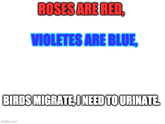 birds urinate | ROSES ARE RED, VIOLETES ARE BLUE, BIRDS MIGRATE, I NEED TO URINATE. | image tagged in blank white template | made w/ Imgflip meme maker