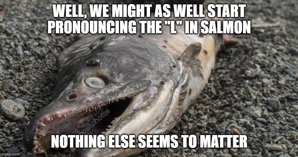 The "L" in Salmon | WELL, WE MIGHT AS WELL START PRONOUNCING THE "L" IN SALMON; NOTHING ELSE SEEMS TO MATTER | image tagged in dead salmon | made w/ Imgflip meme maker